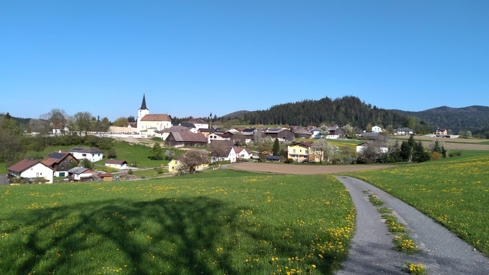 Way of the Cross