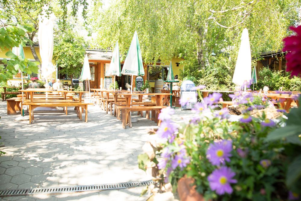 A sunny guest garden with wooden benches and tables, surrounded by green trees and colorful flowers.