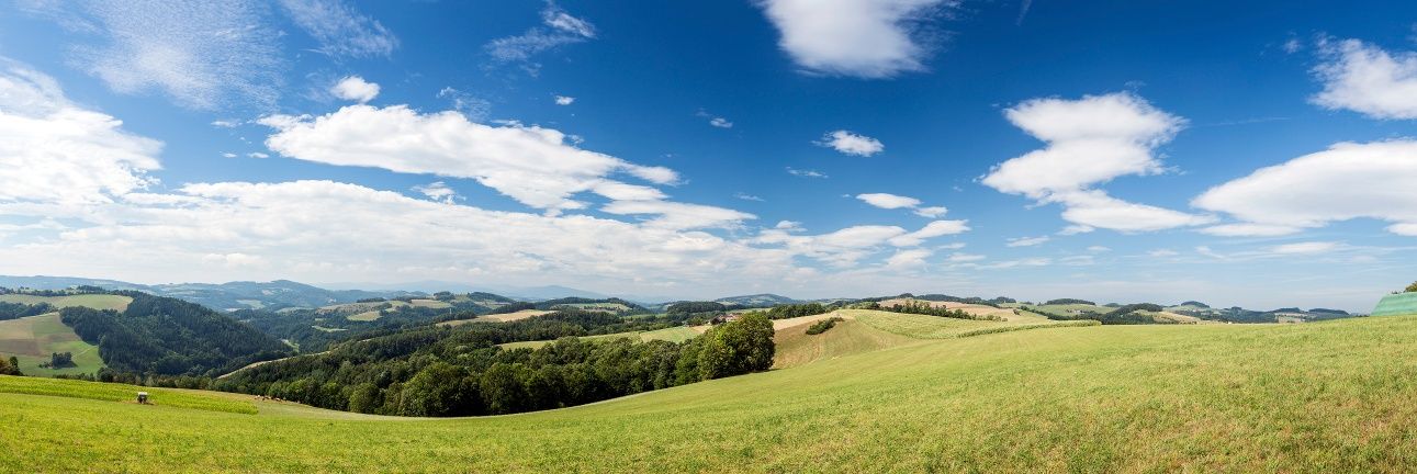 Baumgartnereck, Kirchschlag