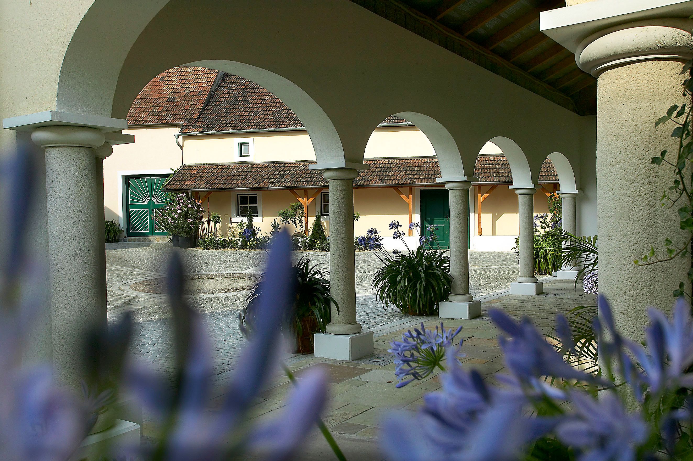 Fritsch Vineyard