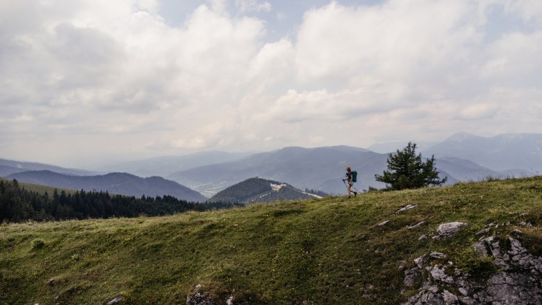 Let your mind (and feet) wander while hiking long distances., © Niederösterreich Werbung/Franziska Consolati