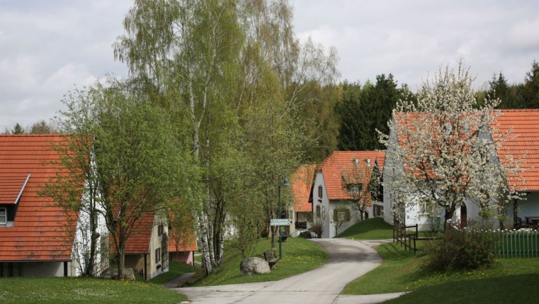 A village with red roofs and blossoming trees in spring.
