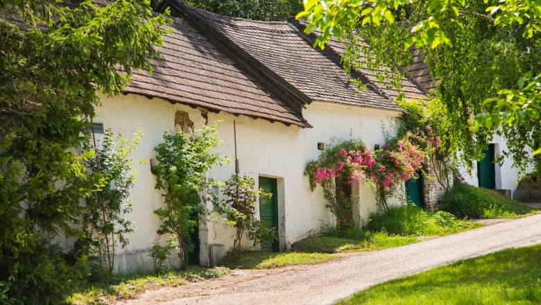 A picturesque alley with old, white houses and flowering plants.
