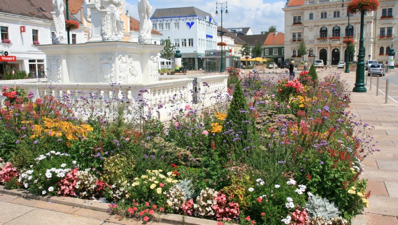 Flower bed in front of the plague column on the main square in Tulln.
