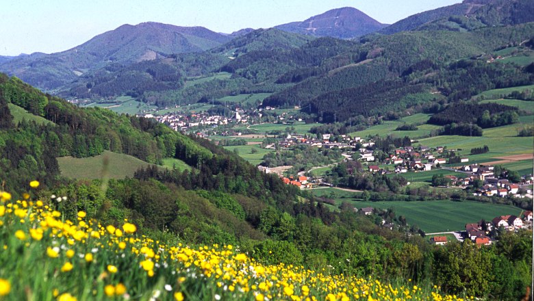 View of St. Veit/Gölsen with a flowering meadow in the foreground and wooded hills in the background.