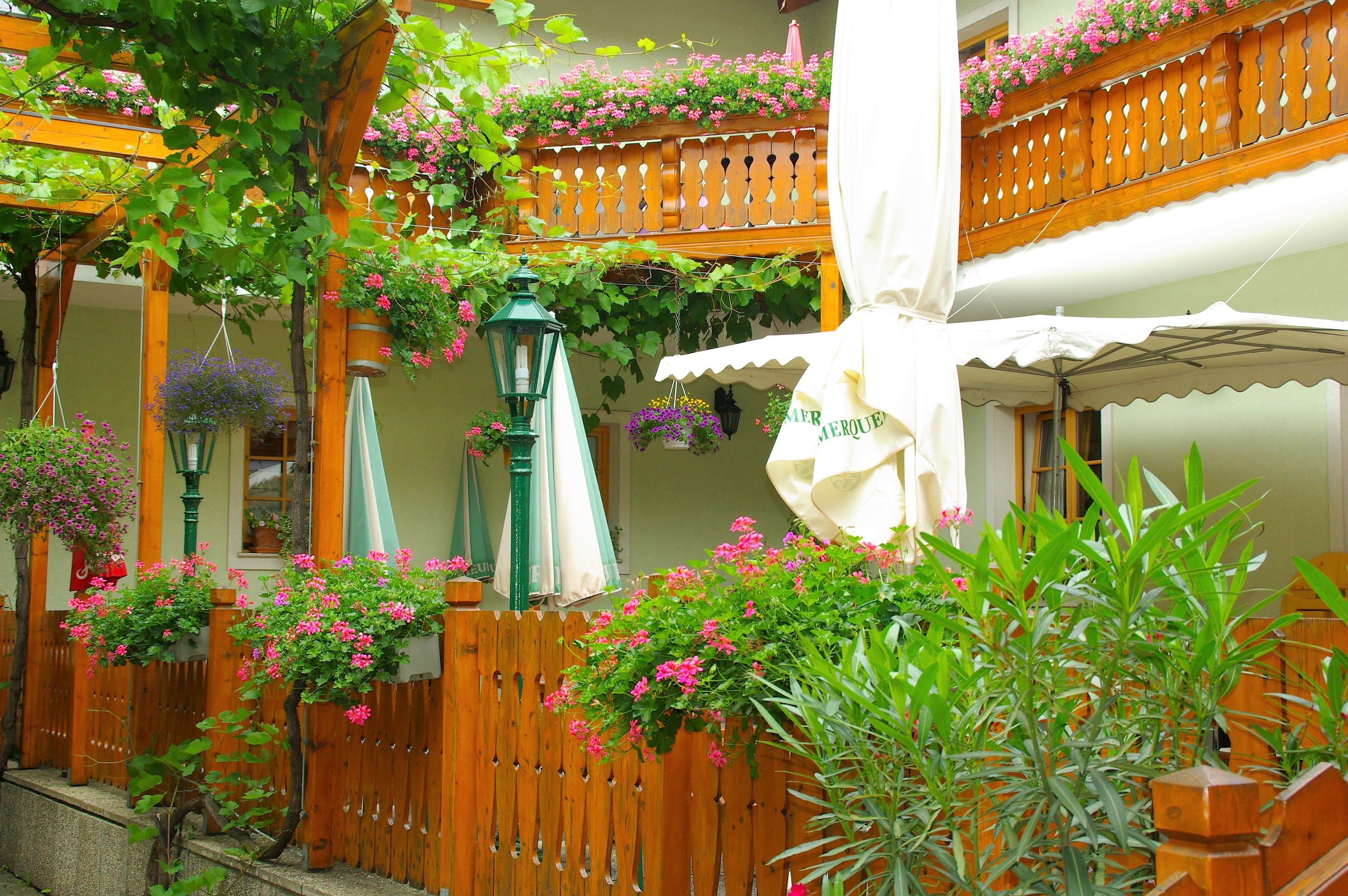 Guest garden Weingut Niegl