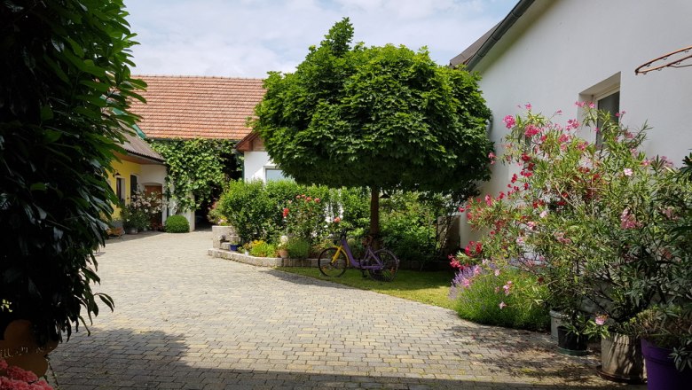 Inner courtyard with paved path, trees and flowering plants.