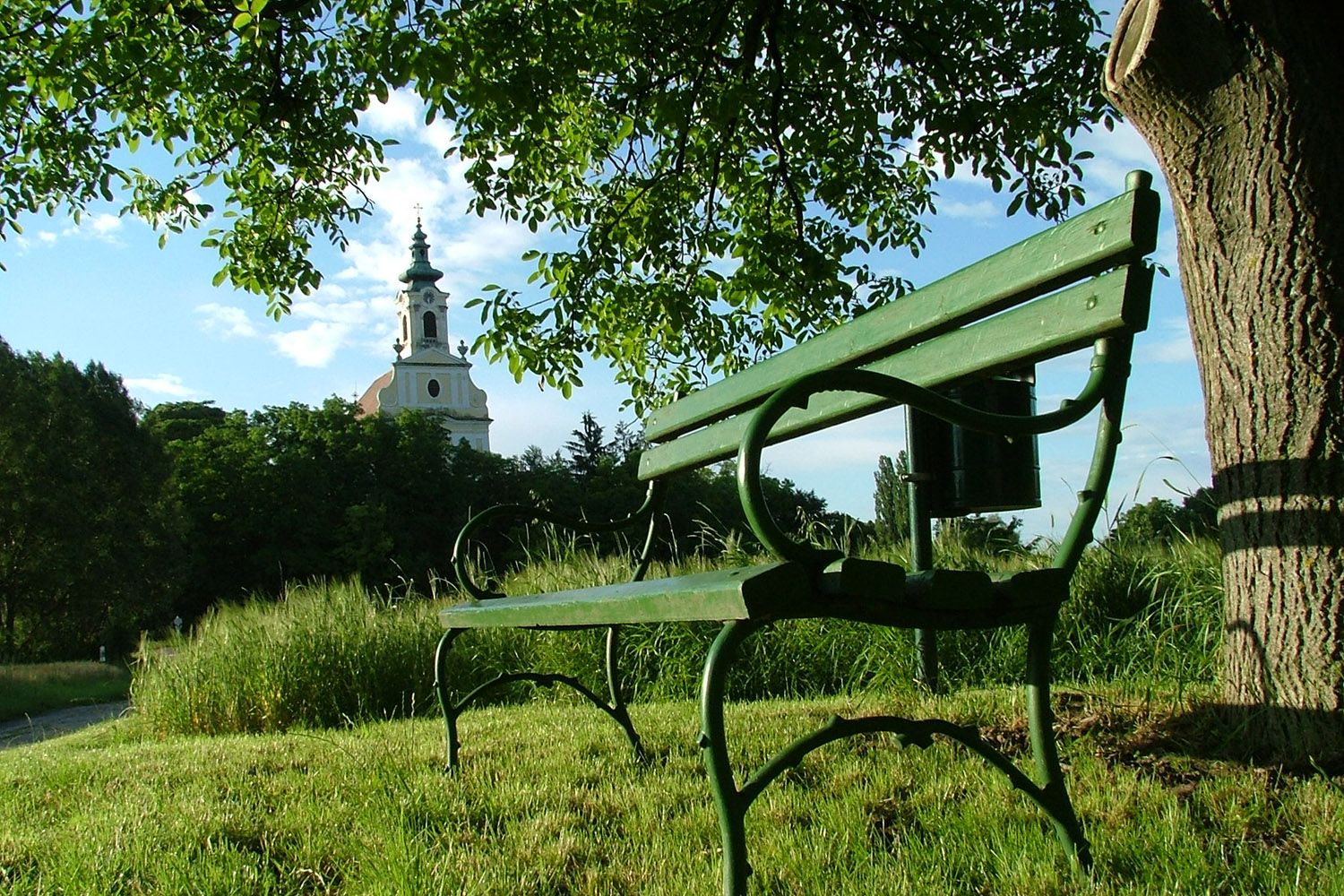 A green bench under a tree with a view of a church in the background.