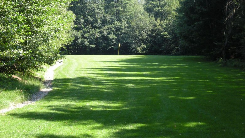 Green golf course with flag in the background, surrounded by trees.