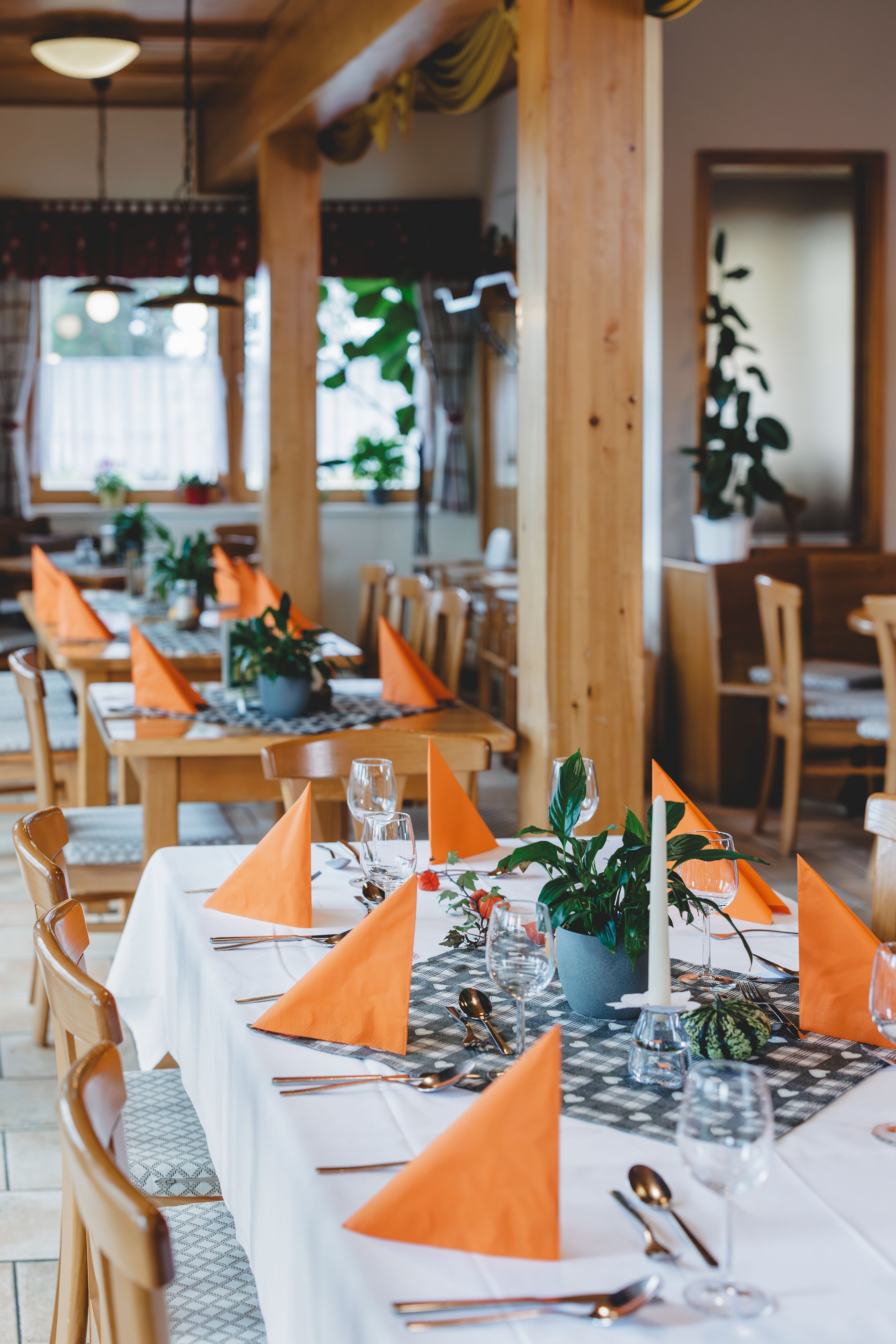 A festively laid table in a restaurant with orange napkins and plants as decoration.