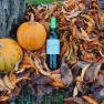 Wine bottle and pumpkins in the fall foliage.