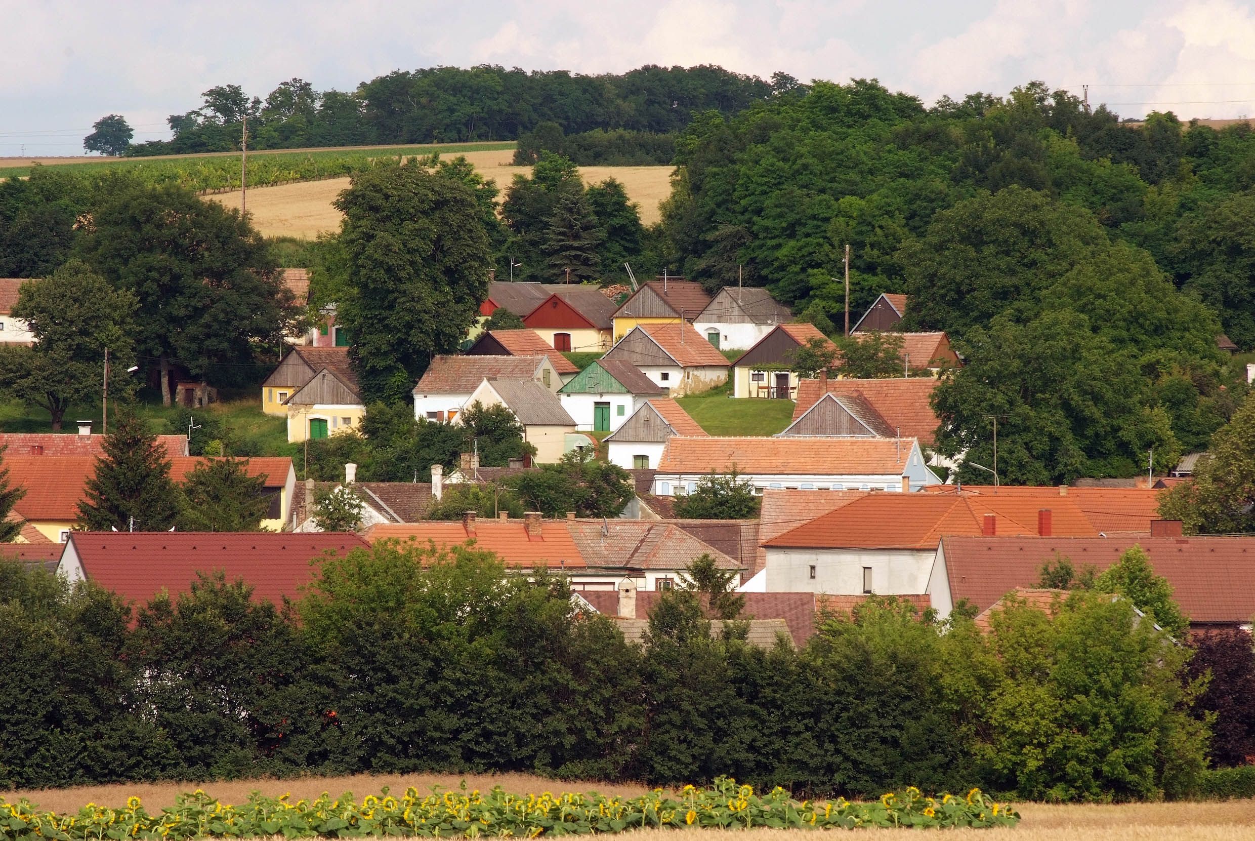 View of a village with colorful houses and a green landscape in the background.