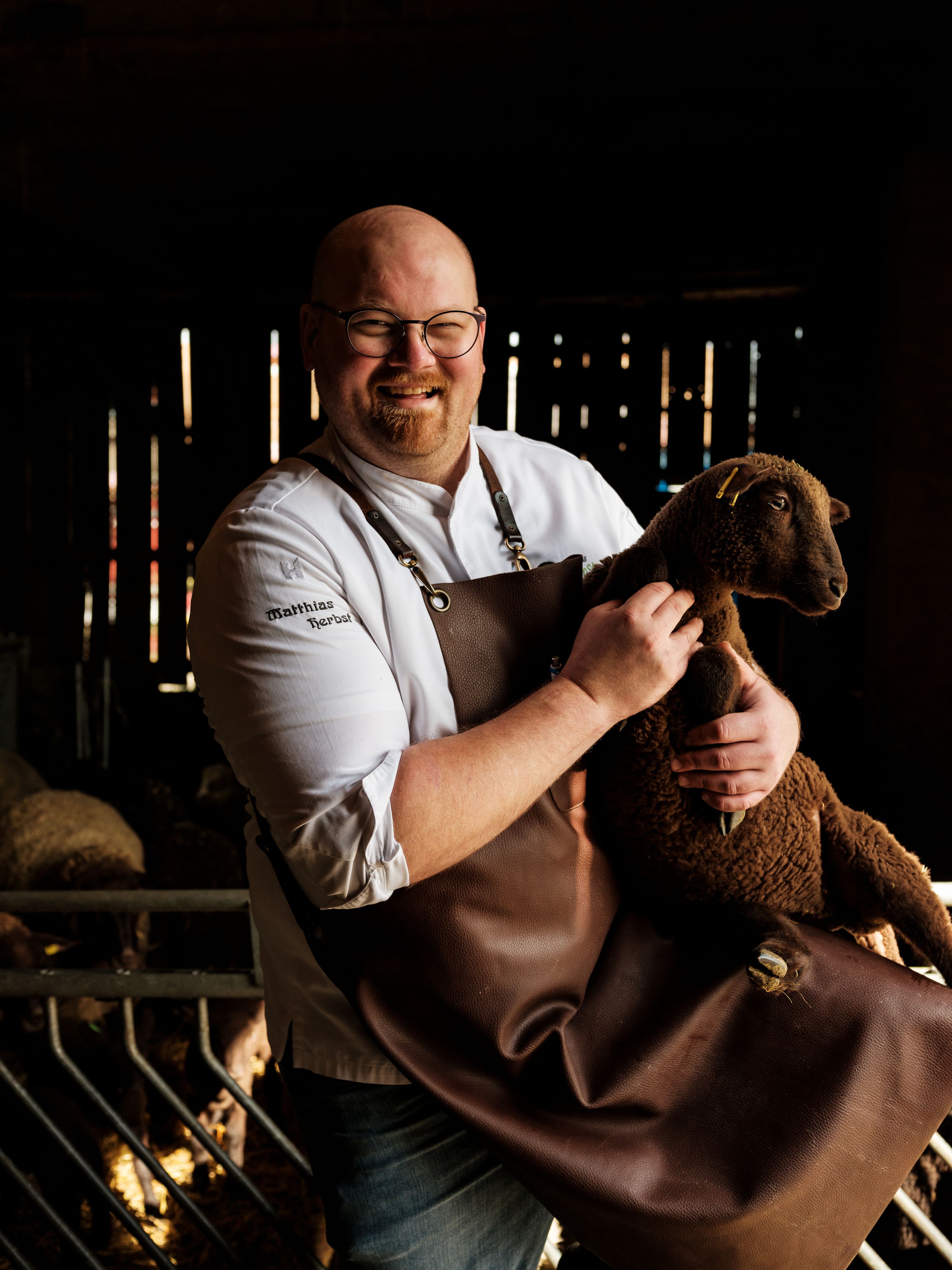 A man in chef's clothes holds a brown sheep in a stable.