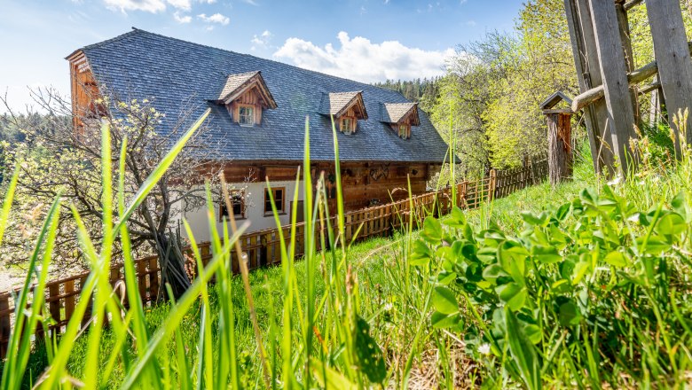 ...umgeben von Natur., © Wiener Alpen / Christian Kremsl