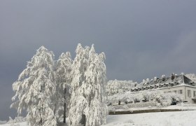 Winter on the Tulbingerkogel, © F. Bläuel GesmbH