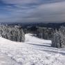 Snow-covered ski slope with fir trees on Unterberg.