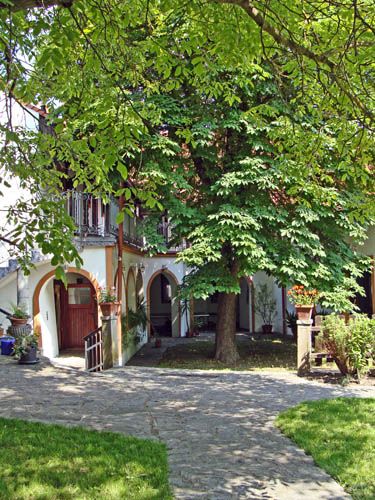 An idyllic courtyard with a large tree, surrounded by a building with arcades and balconies.