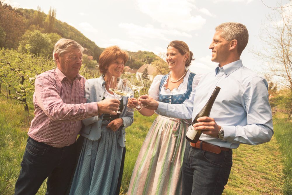 Four people clink glasses in a vineyard.