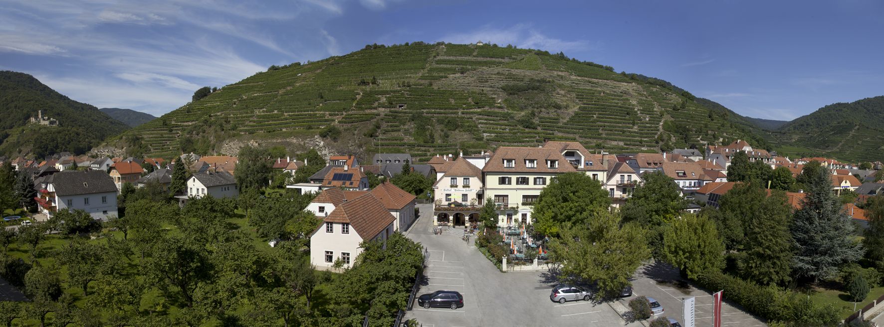Panorama of a village with vineyards in the background.