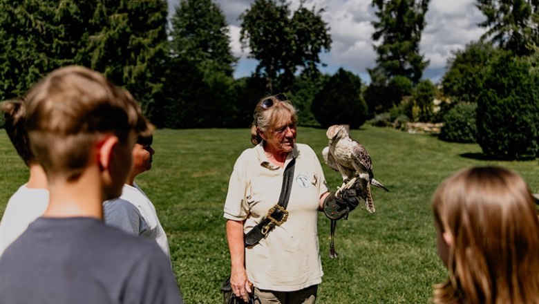 Lower Austrian Falconry and Birds of Prey Center, © Waldviertel Tourismus, Matthias Streibel