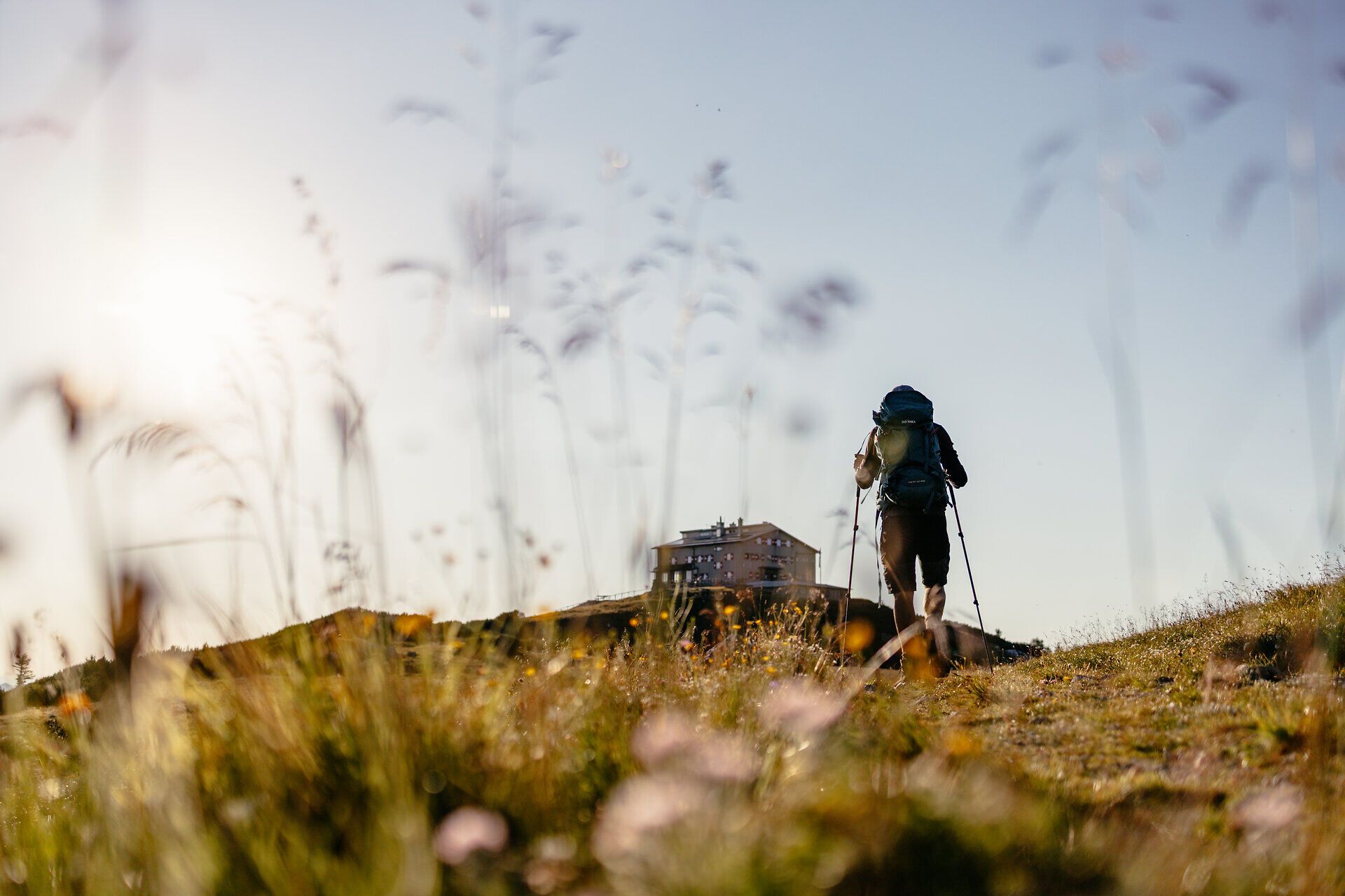 A hiker enjoys the fresh mountain air and the breathtaking view as he strolls through the flowering meadows. The gentle hills and the glistening light of the sun create a harmonious atmosphere that invites you to linger.