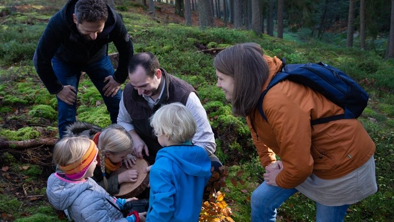 Count growth rings, © Wunderwelt Wald, Fotograf Andreas Maringer