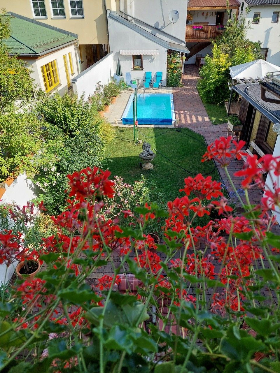 View of a garden with pool, surrounded by houses and red flowers in the foreground.
