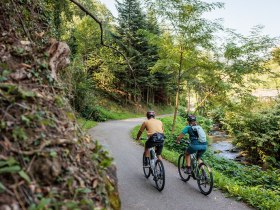 Radroute S&uuml;dliches Waldviertel, Vie&szlig;ling, neben Spitzer Bach 8660 &copy; Waldviertel Tourismus, Erwin Haiden.jpg, &copy; Waldviertel Tourismus, Erwin Haiden