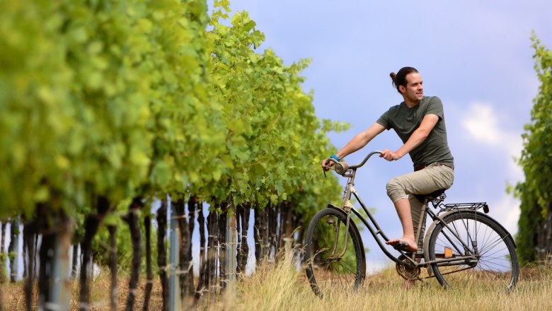 Person on a bicycle next to a vineyard.