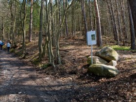 Station 4, &copy; Unknown