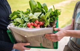 Two people are holding a green box with fresh vegetables such as radishes and lettuce.
