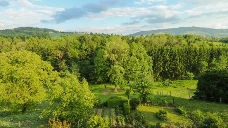 Fantastic view of the Mostviertel, © Auer Hannes