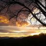 Sunset behind a tree with bare branches and hills in the background.