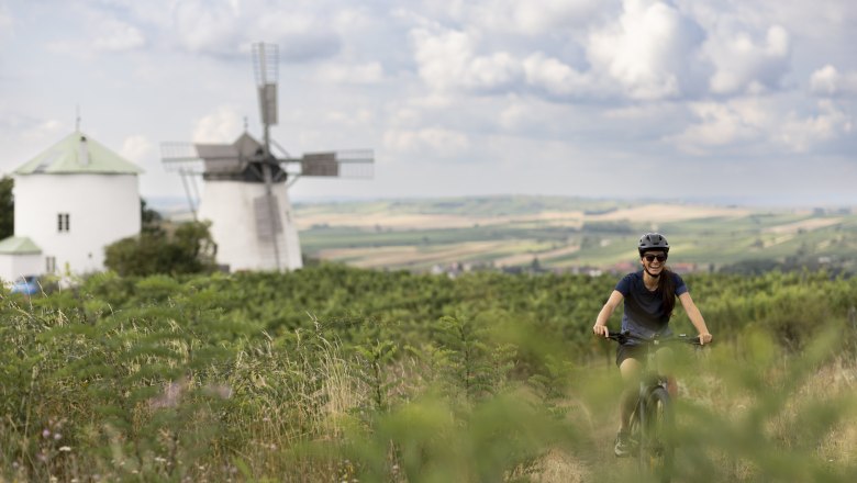 A person rides a bicycle through a green landscape with a windmill in the background.