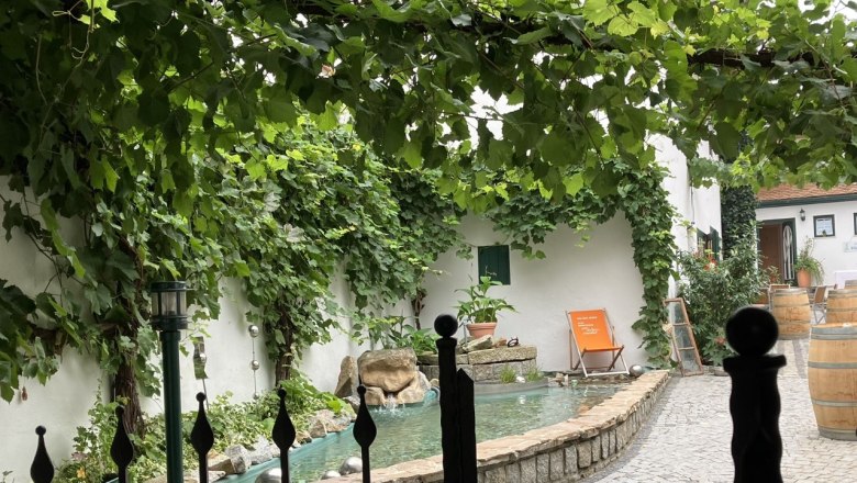An inner courtyard with vines, a small pond and a sun lounger.