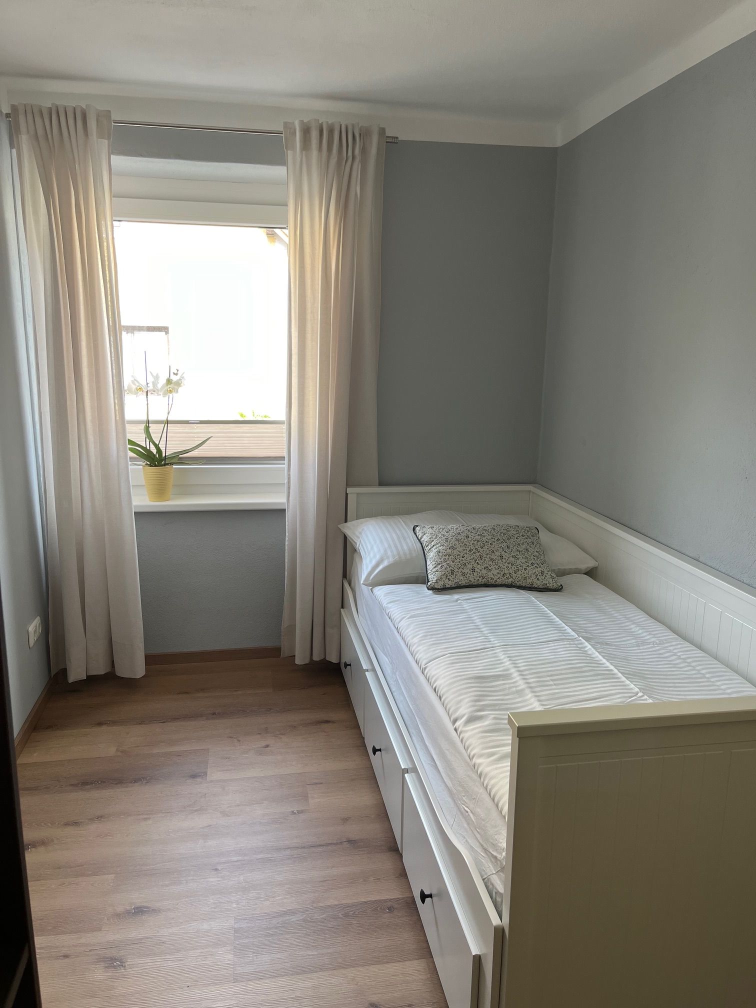 Small bedroom with single bed, white curtains and a plant on the windowsill.