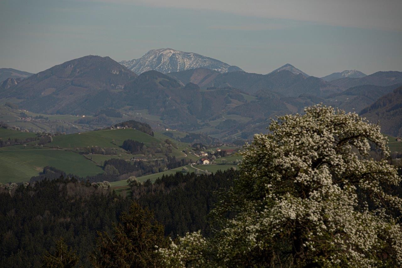 Photo point Ötscher