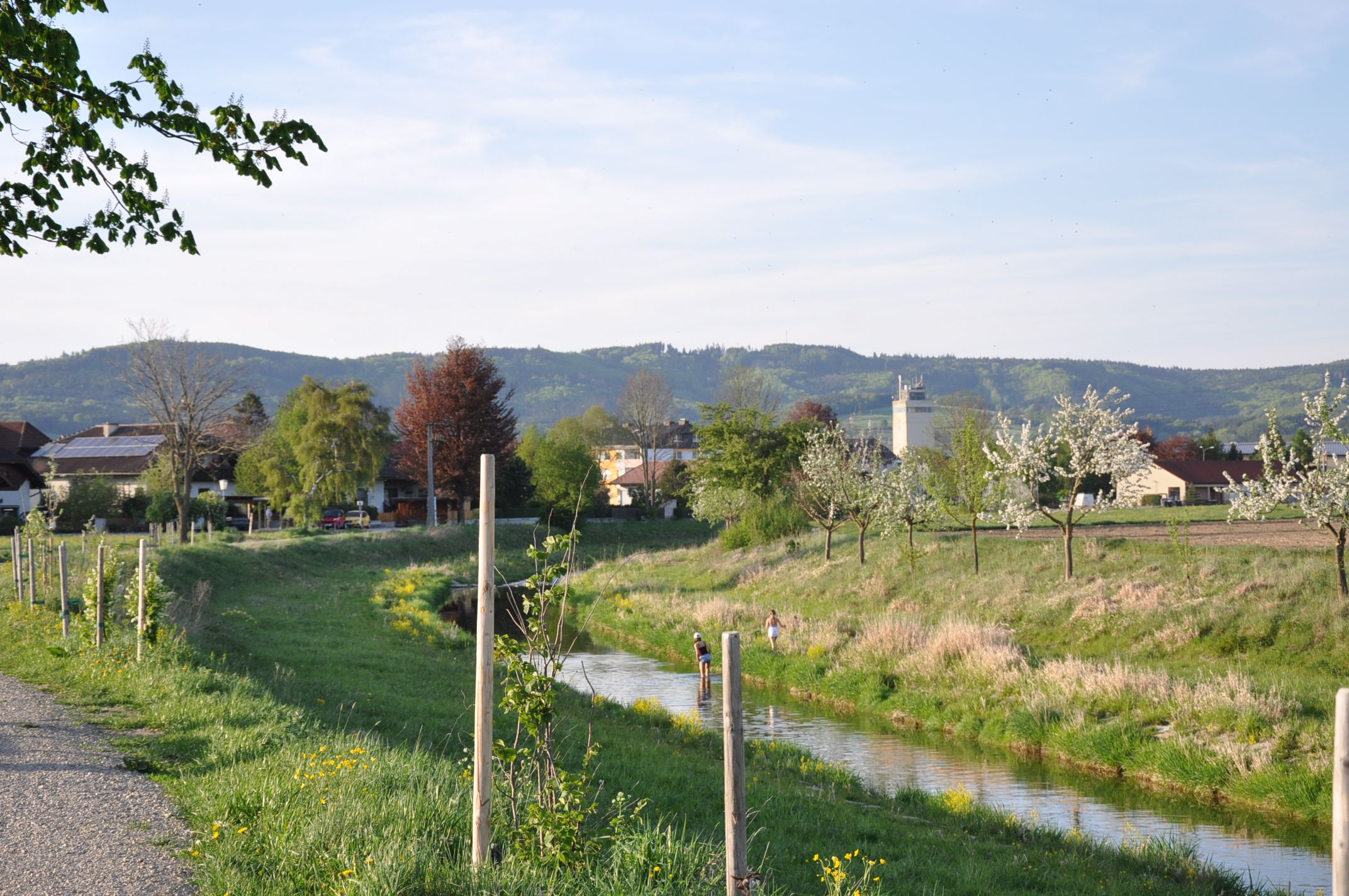 Landscape with river, blossoming trees and hills in the background.