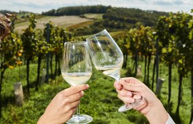 Two people clink glasses in a vineyard.