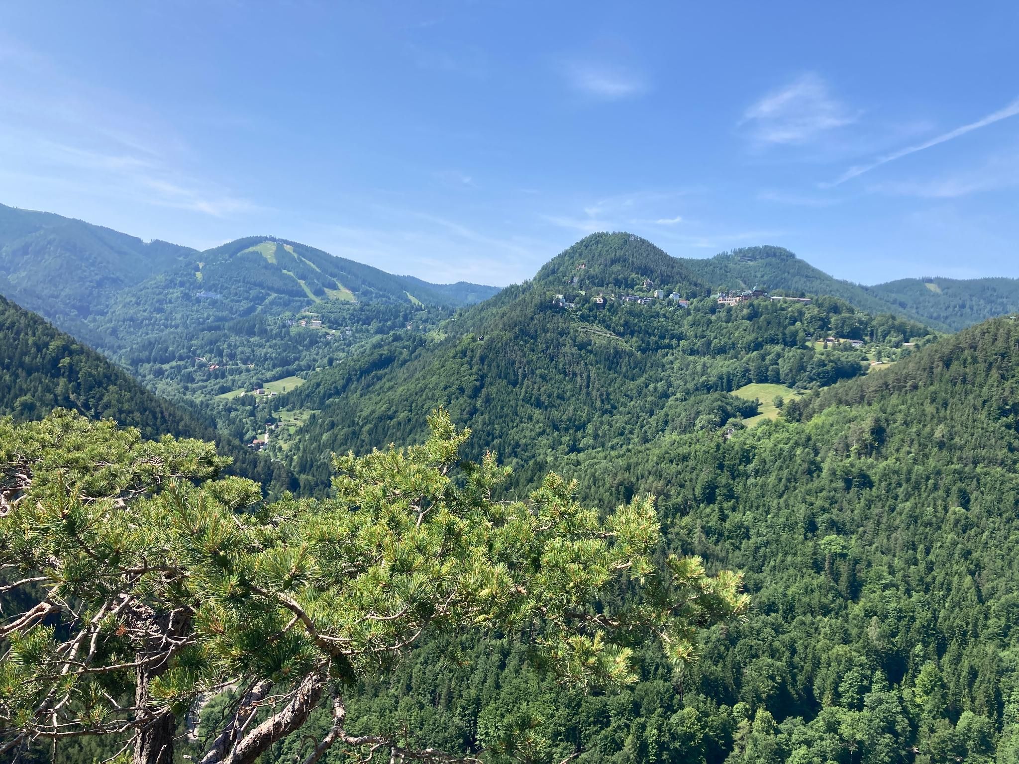 View of green wooded hills under a blue sky.