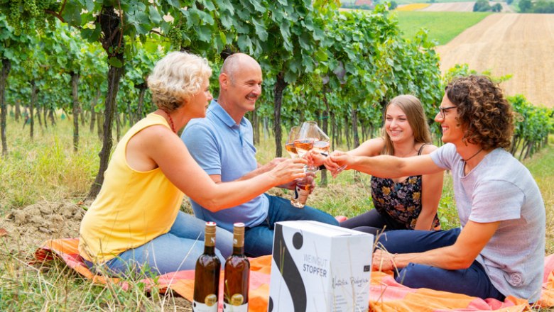 Stopfer family, © Martin Lifka Photography Four people clink glasses in a vineyard.