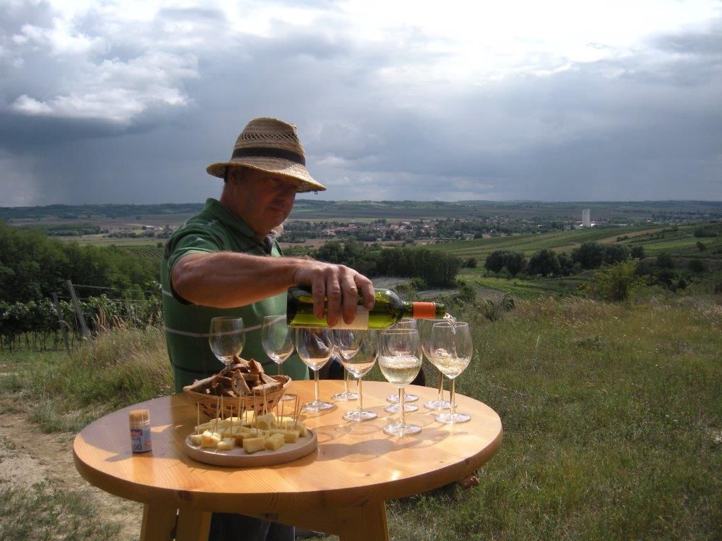 Man pouring wine into glasses on an outdoor table with a view of vineyards and village in the background.