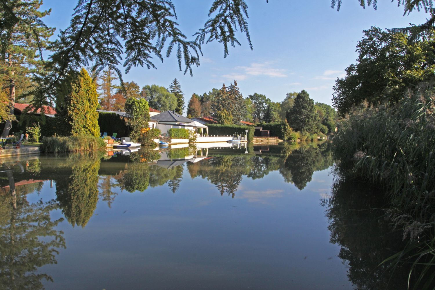 A calm pond with a reflection of trees and houses in the water.