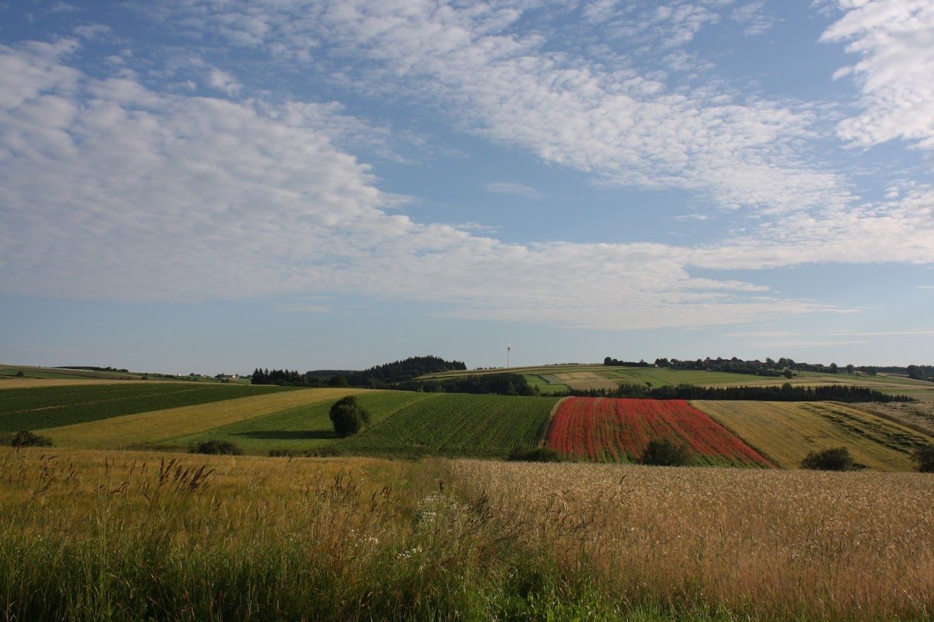 View in the direction of Pleßberg-Ottenschlag