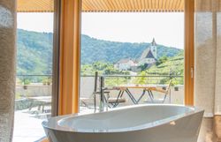 Aerial view of a modern hotel with terraces and green roofs, surrounded by vineyards.