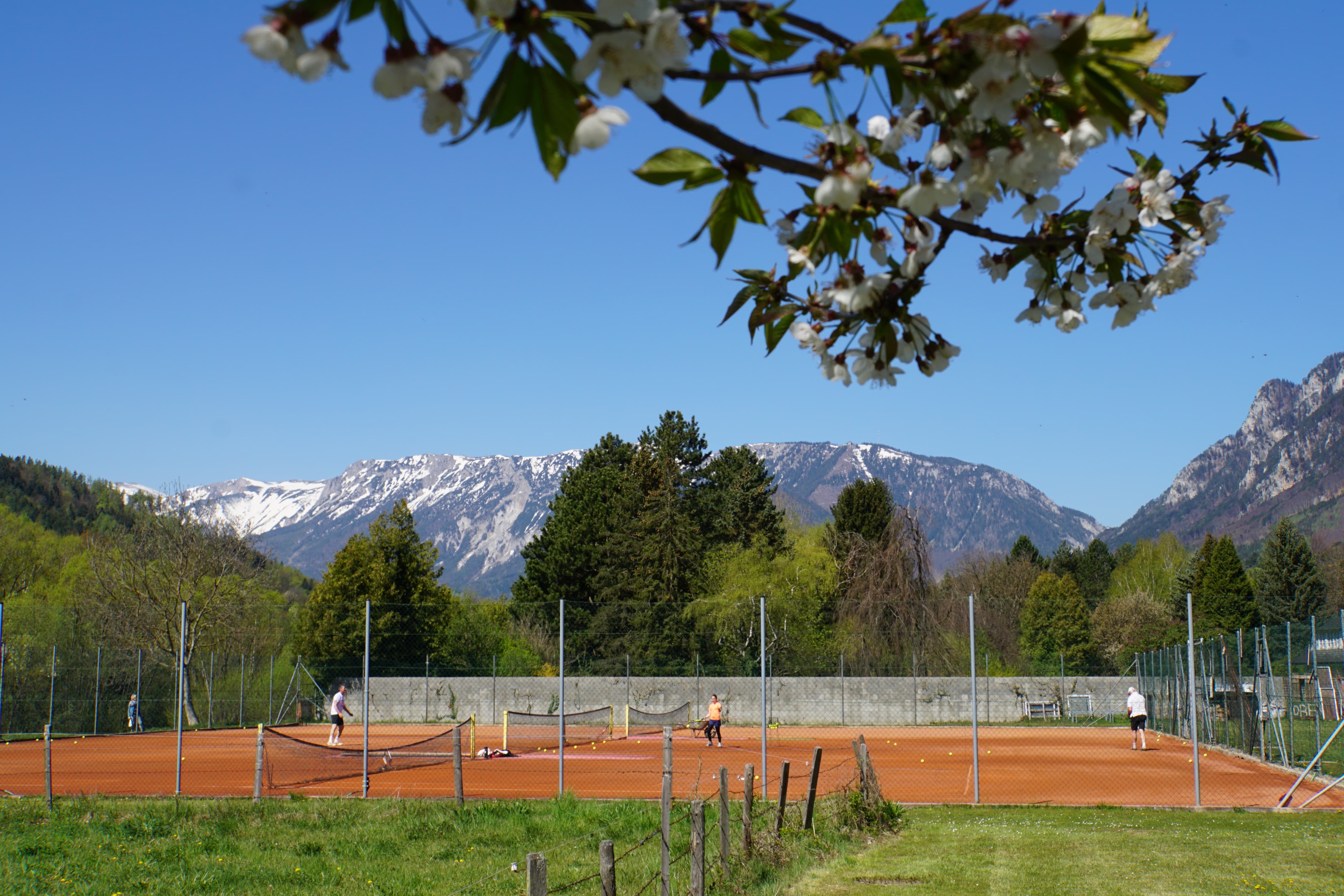 Tennis court with players against a mountain backdrop and blossoming trees in the foreground.