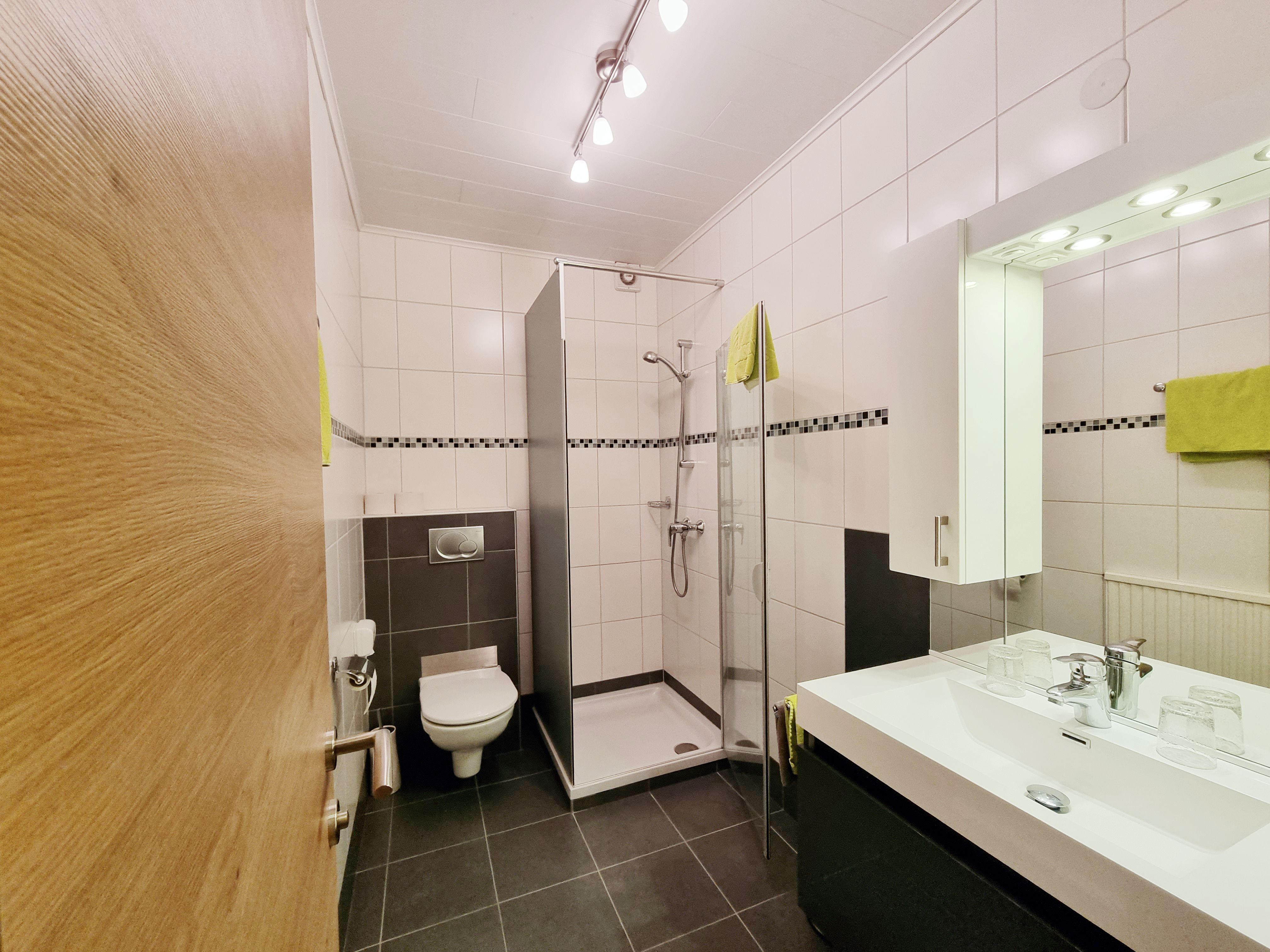 Modern bathroom with shower, washbasin and toilet.