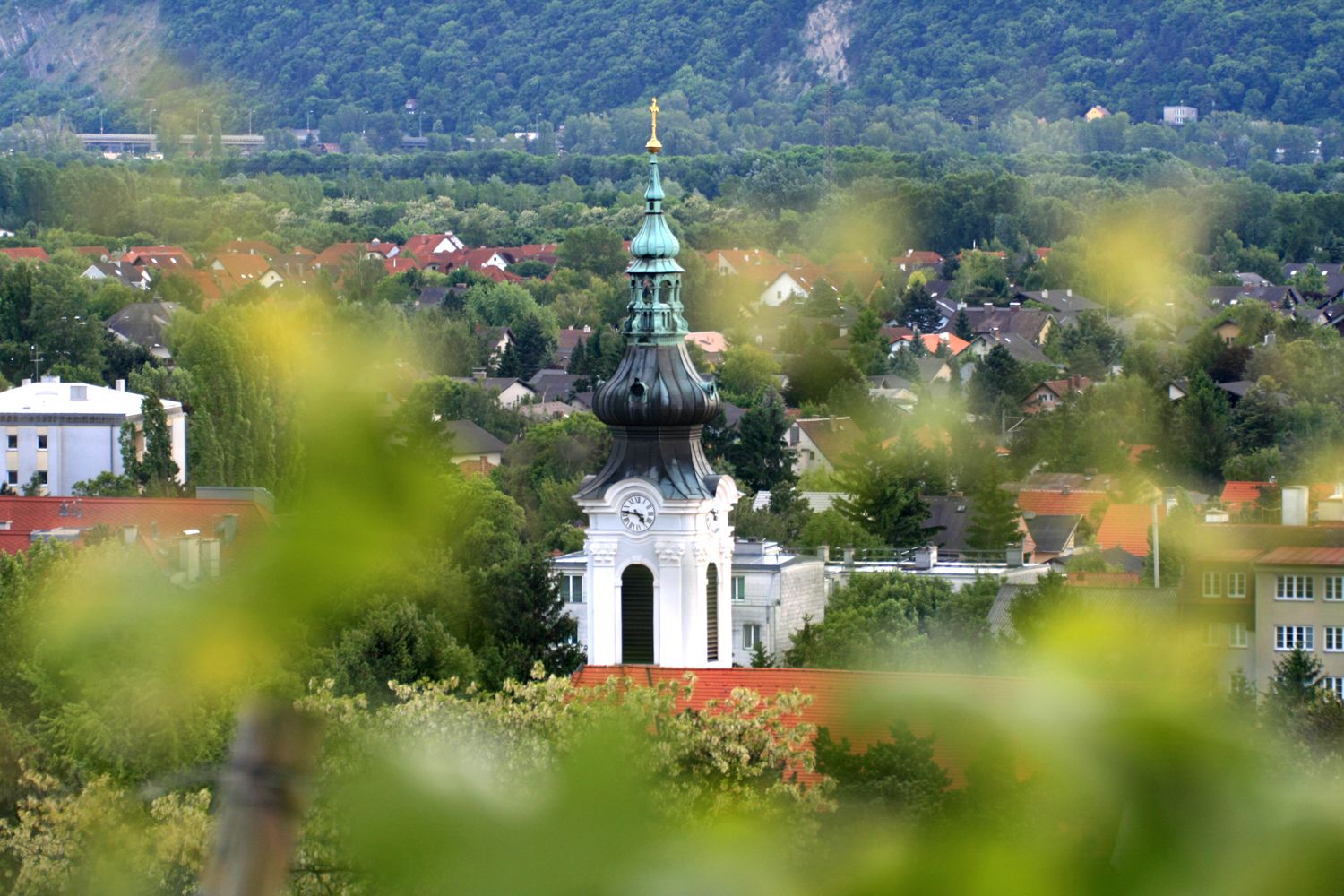 Church tower with green dome in an urban landscape, surrounded by trees and houses.
