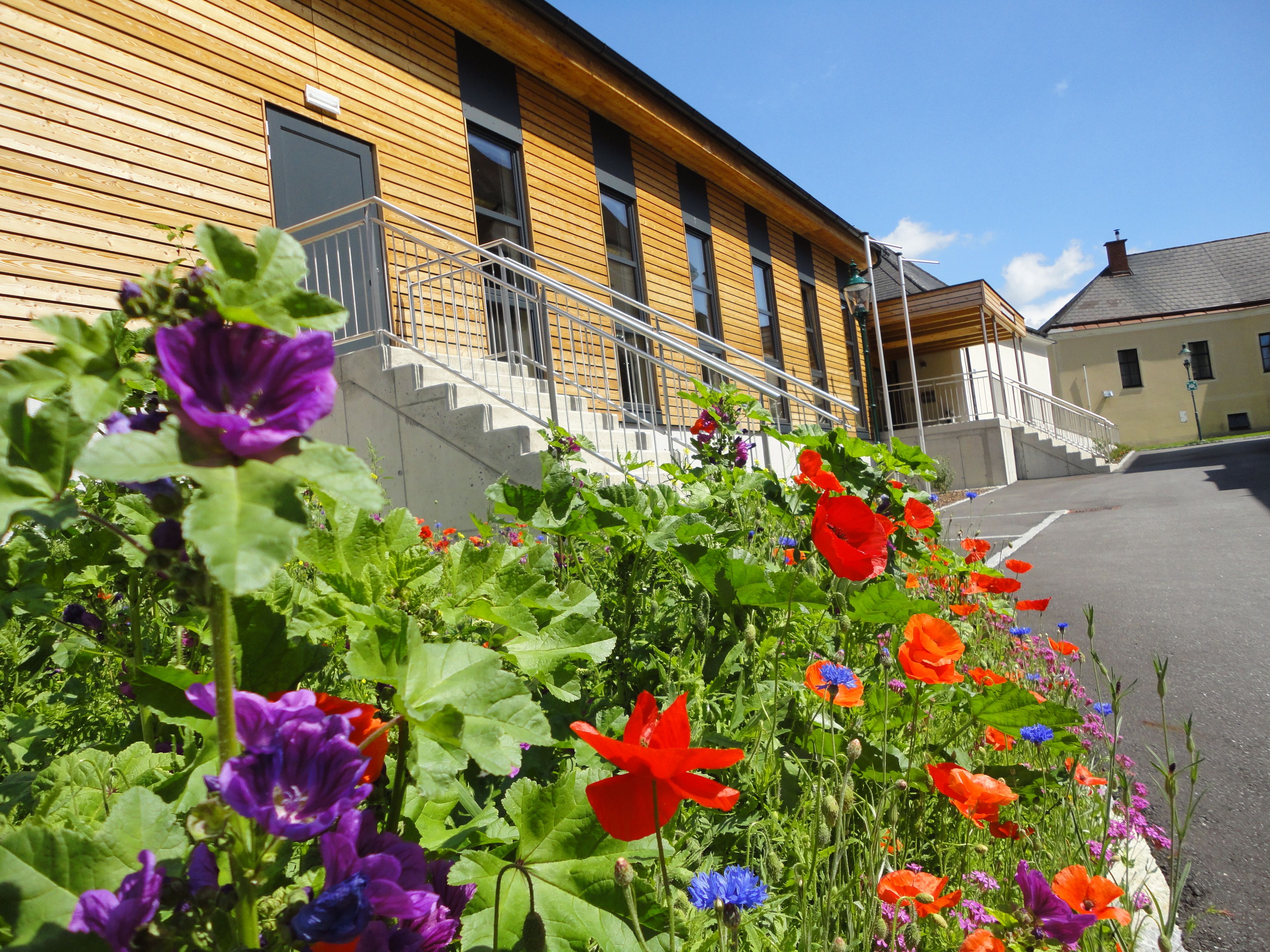 A modern building with wooden cladding and a flower bed in the foreground.