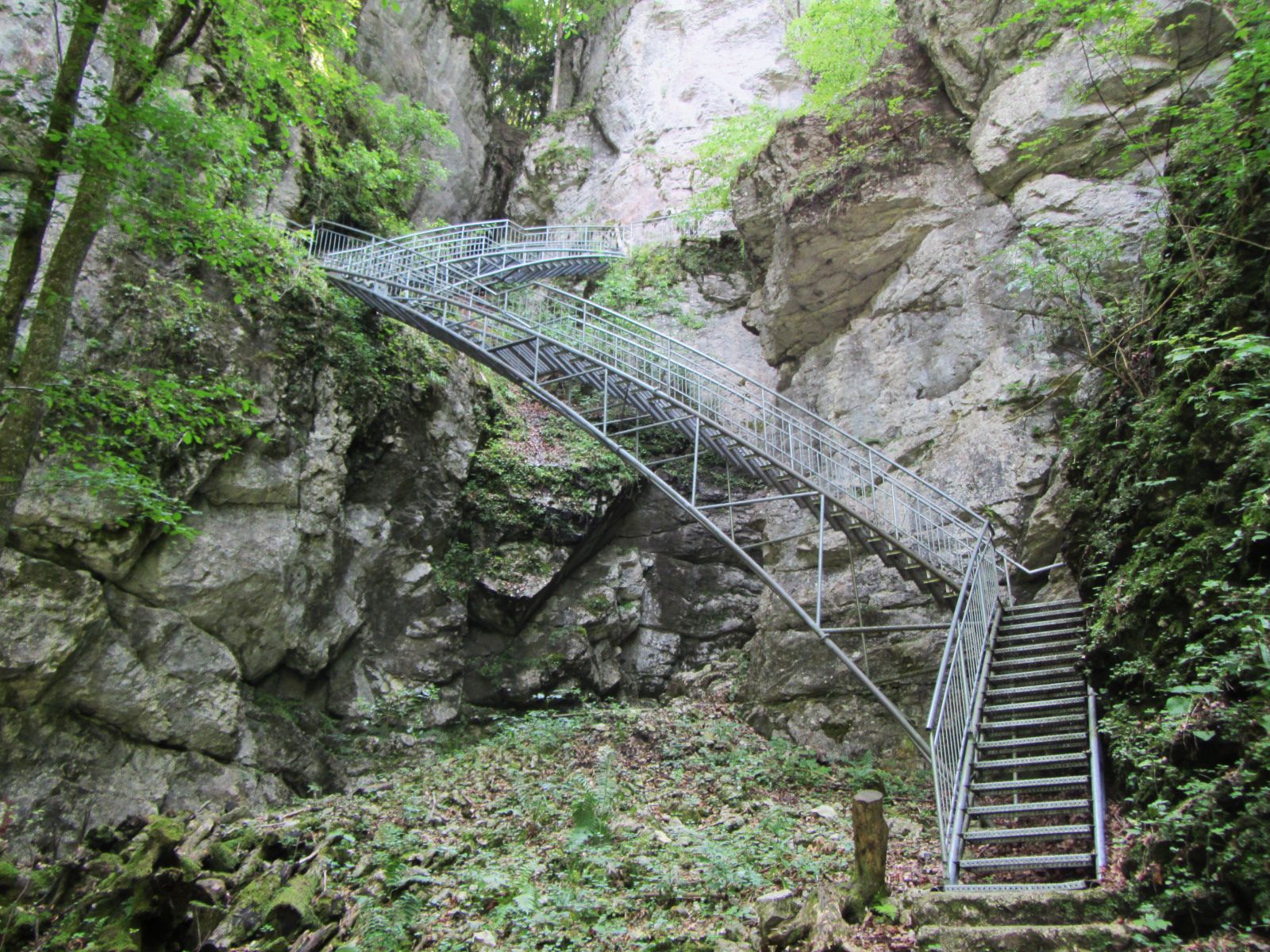 Metal stairs in a rocky gorge with green vegetation.